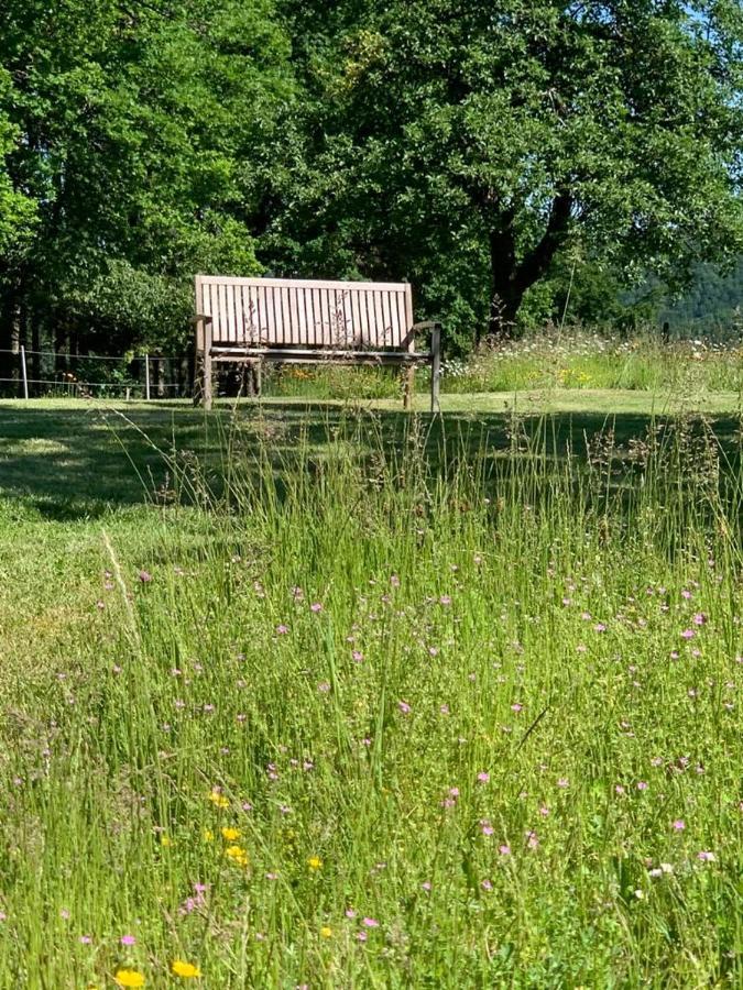 Appartamento Urlaub Mit Hund Auf Dem Bauernhof Hofswald Euscheid Esterno foto