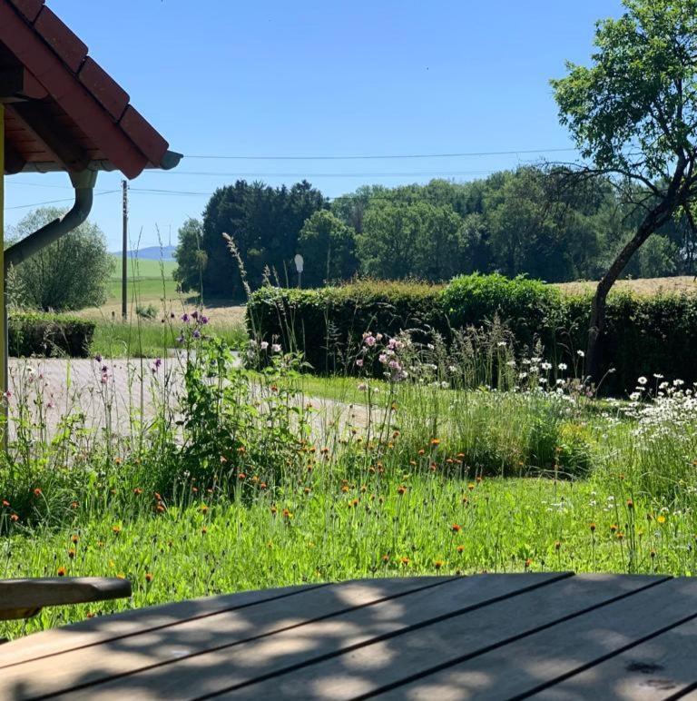 Appartamento Urlaub Mit Hund Auf Dem Bauernhof Hofswald Euscheid Esterno foto