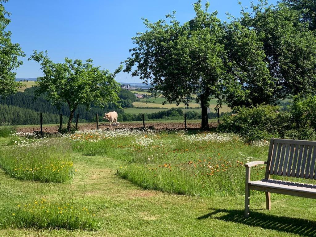 Appartamento Urlaub Mit Hund Auf Dem Bauernhof Hofswald Euscheid Esterno foto