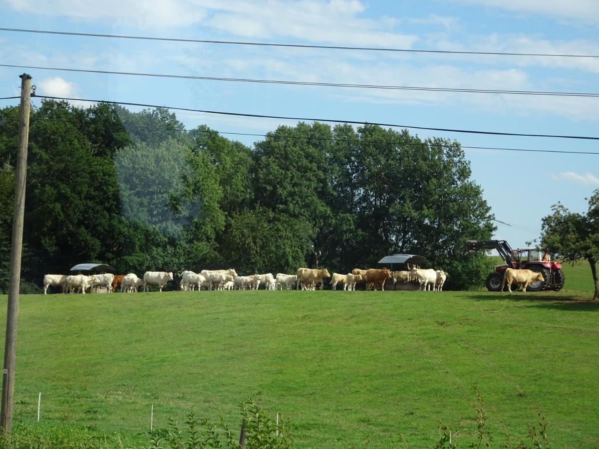 Appartamento Urlaub Mit Hund Auf Dem Bauernhof Hofswald Euscheid Esterno foto