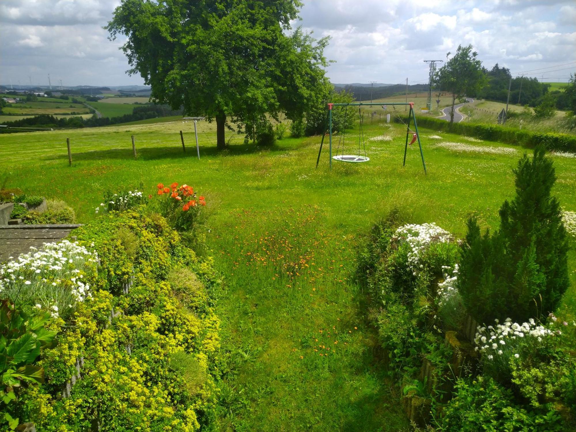 Appartamento Urlaub Mit Hund Auf Dem Bauernhof Hofswald Euscheid Esterno foto